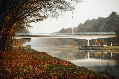 Pont